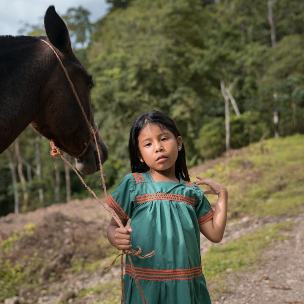 Learning Moments: CAPTURING AN ENGAGING MOMENT | National Geographic ...