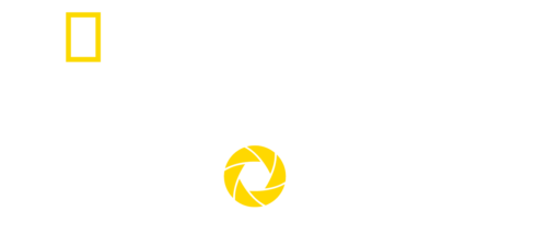 National Geographic Learning: In Focus